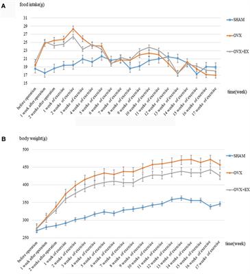 Postmenopausal osteoporosis: Effect of moderate-intensity treadmill exercise on bone proteomics in ovariectomized rats